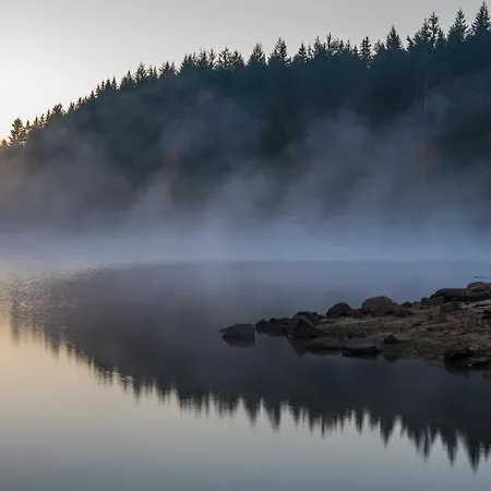 Apartament 06 - Ferienresidenz Roseneck, 2 Schlafzimmer, Mit Schwimmbad In Bei Feldberg