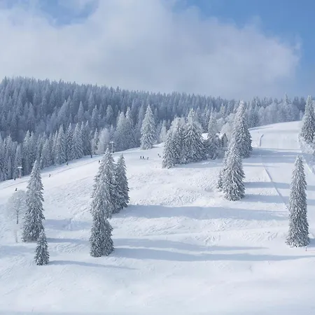 06 - Ferienresidenz Roseneck, 2 Schlafzimmer, Mit Schwimmbad In Bei Feldberg