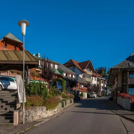 06 - Ferienresidenz Roseneck, 2 Schlafzimmer, Mit Schwimmbad In Bei Feldberg Apartament *