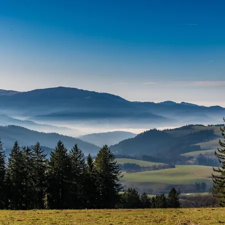 Apartament 06 - Ferienresidenz Roseneck, 2 Schlafzimmer, Mit Schwimmbad In Bei Feldberg