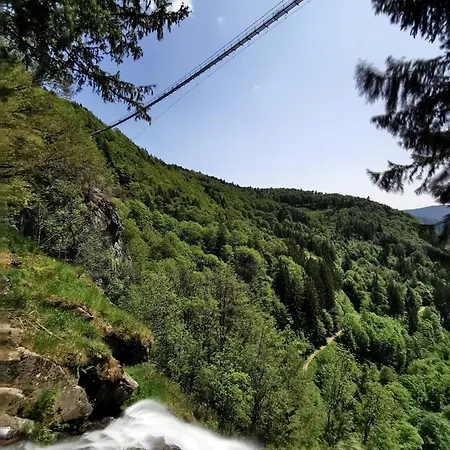 Apartament 06 - Ferienresidenz Roseneck, 2 Schlafzimmer, Mit Schwimmbad In Bei Feldberg *