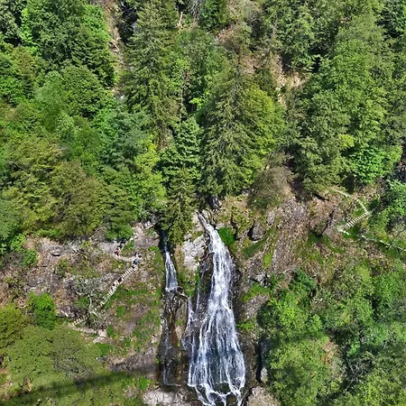 06 - Ferienresidenz Roseneck, 2 Schlafzimmer, Mit Schwimmbad In Bei Feldberg * Todtnauberg